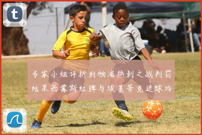 专家小组评析利物浦热刺之战判罚结果西蒙斯红牌与埃基蒂克进球均属合理