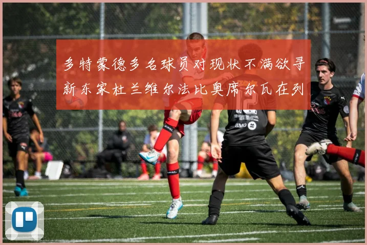 多特蒙德多名球员对现状不满欲寻新东家杜兰维尔法比奥席尔瓦在列
