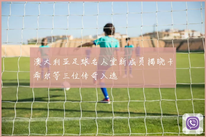 澳大利亚足球名人堂新成员揭晓卡希尔等三位传奇入选