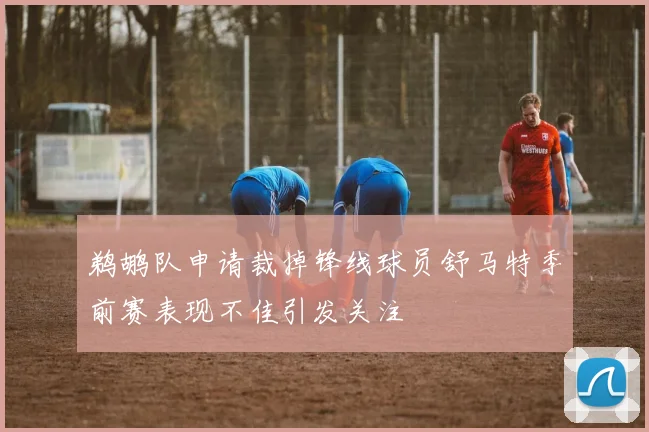 鹈鹕队申请裁掉锋线球员舒马特季前赛表现不佳引发关注